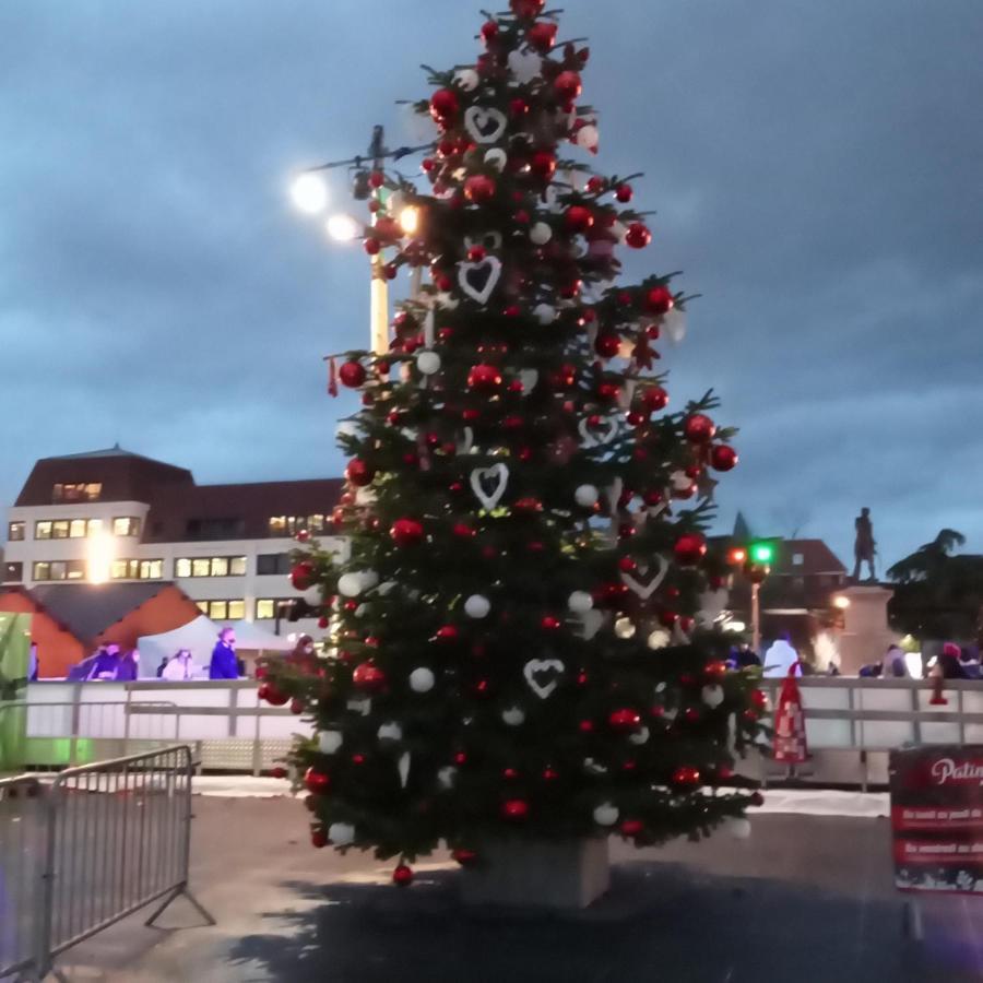 Gite Les Lavandieres Colmar Exterior photo