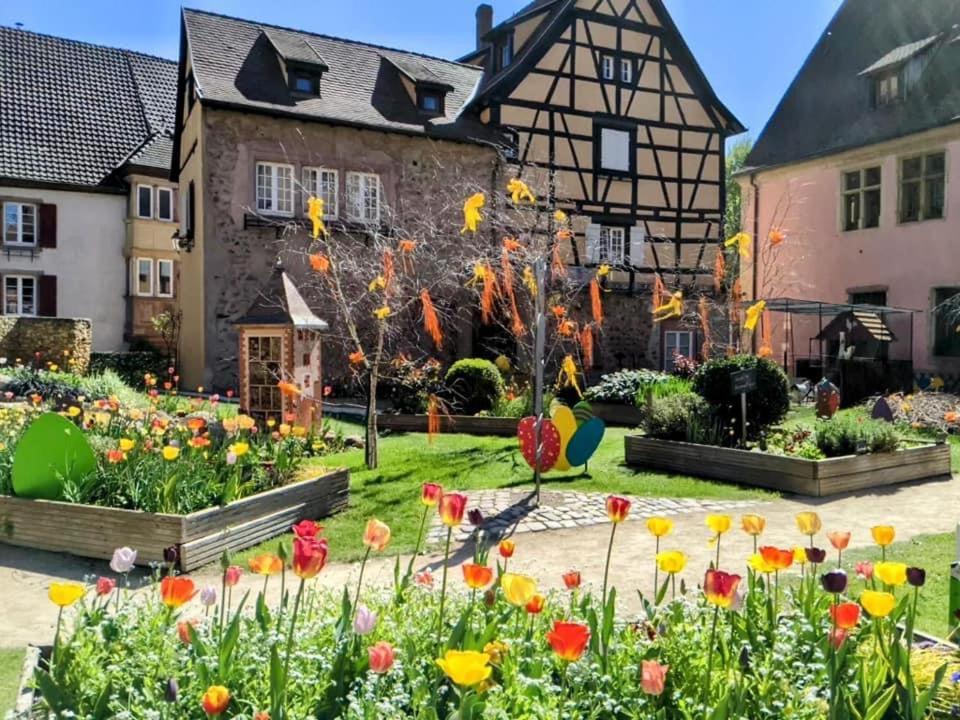 Gite Les Lavandieres Colmar Exterior photo